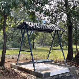 20241016_142059_IMG_2503