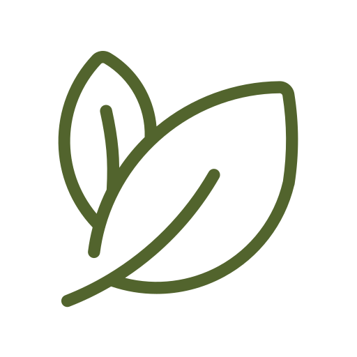 Leaf Icon